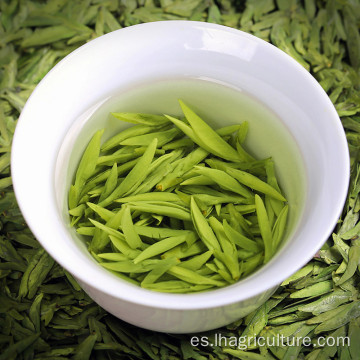 Té verde natural bebida china té verde